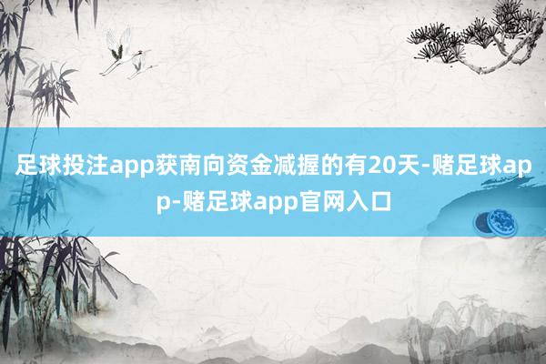 足球投注app获南向资金减握的有20天-赌足球app-赌足球app官网入口