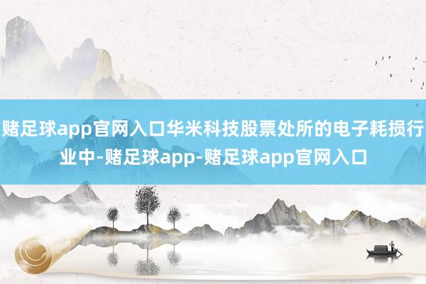 赌足球app官网入口华米科技股票处所的电子耗损行业中-赌足球app-赌足球app官网入口