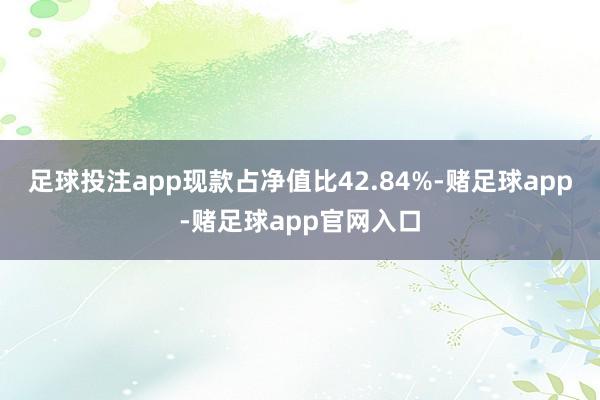 足球投注app现款占净值比42.84%-赌足球app-赌足球app官网入口