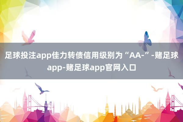 足球投注app佳力转债信用级别为“AA-”-赌足球app-赌足球app官网入口