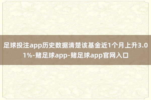 足球投注app历史数据清楚该基金近1个月上升3.01%-赌足球app-赌足球app官网入口