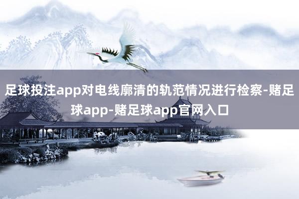 足球投注app对电线廓清的轨范情况进行检察-赌足球app-赌足球app官网入口