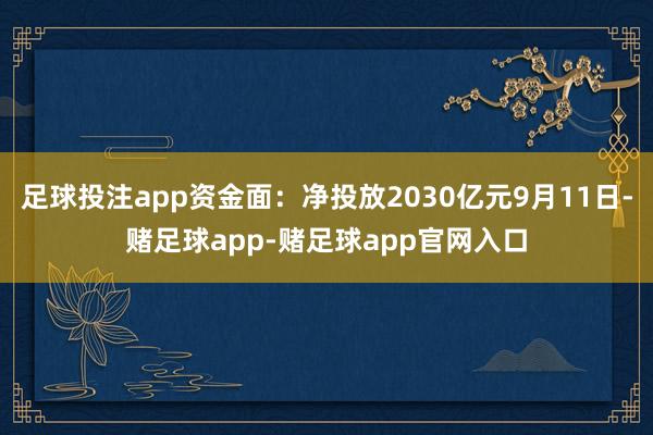 足球投注app资金面：净投放2030亿元9月11日-赌足球app-赌足球app官网入口