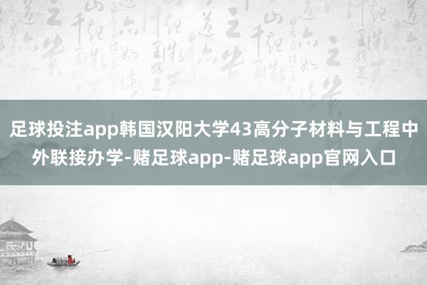 足球投注app韩国汉阳大学43高分子材料与工程中外联接办学-赌足球app-赌足球app官网入口