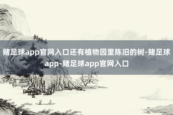 赌足球app官网入口还有植物园里陈旧的树-赌足球app-赌足球app官网入口