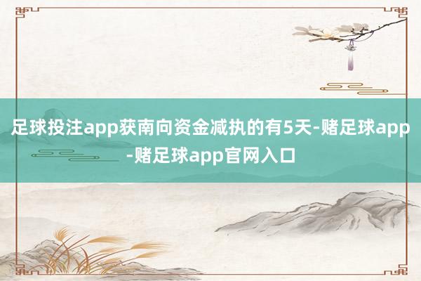 足球投注app获南向资金减执的有5天-赌足球app-赌足球app官网入口