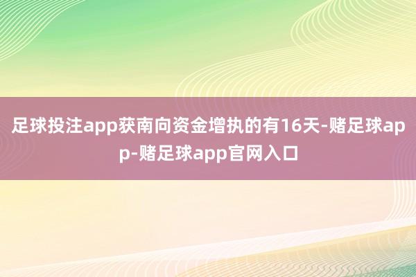 足球投注app获南向资金增执的有16天-赌足球app-赌足球app官网入口