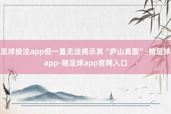 足球投注app但一直无法揭示其“庐山真面”-赌足球app-赌足球app官网入口